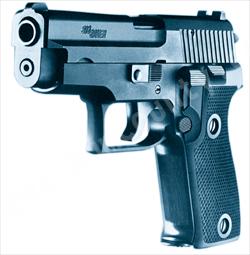 Generic Photo of a Hand Gun